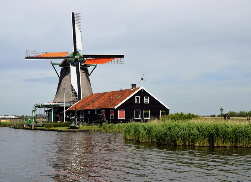 Nyderlandai