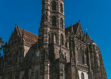 Šv. Elžbietos katedra Košicėse