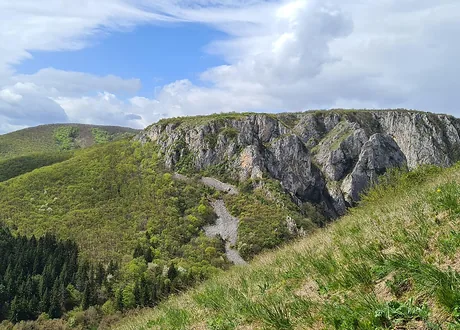 Turdos tarpeklis (Cheile Turzii)