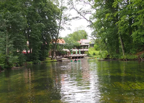 Krutynios upė ir medžiai Krutyniuje
