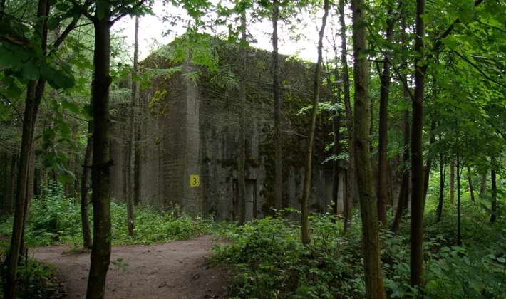 Betoninis bunkeris miške Mamerkuose
